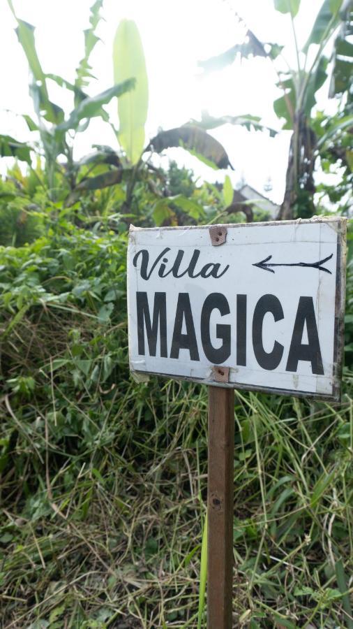 Villa Magica Ubud  Exterior photo