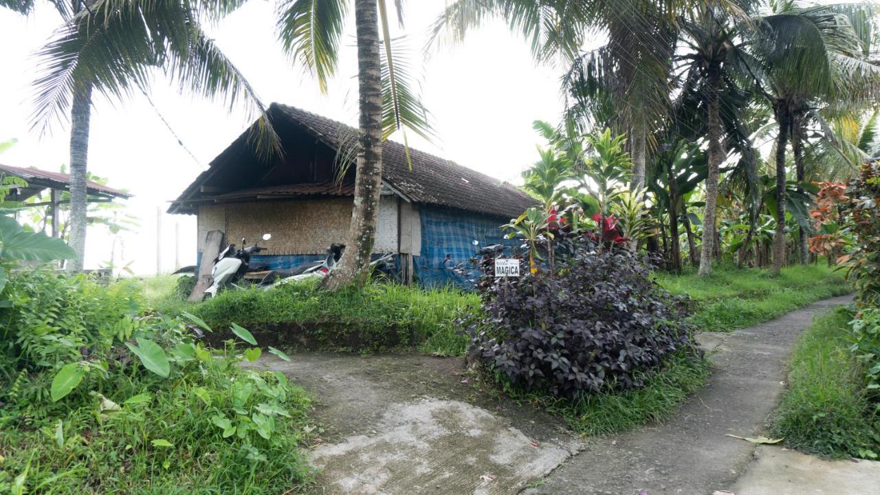 Villa Magica Ubud  Exterior photo